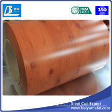 Color Coated Steel Strips Dx51d+Z